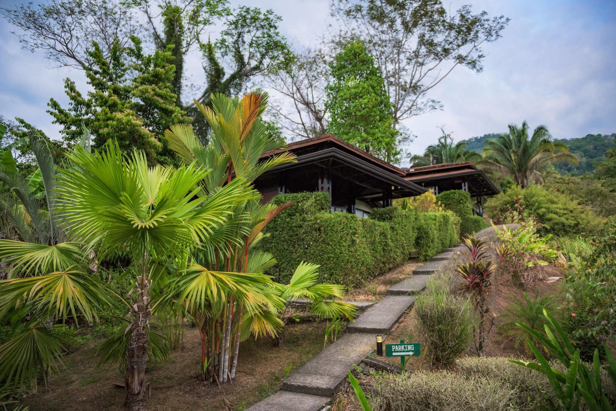 Tiki Villas Rainforest Lodge & Spa Uvita Luaran gambar
