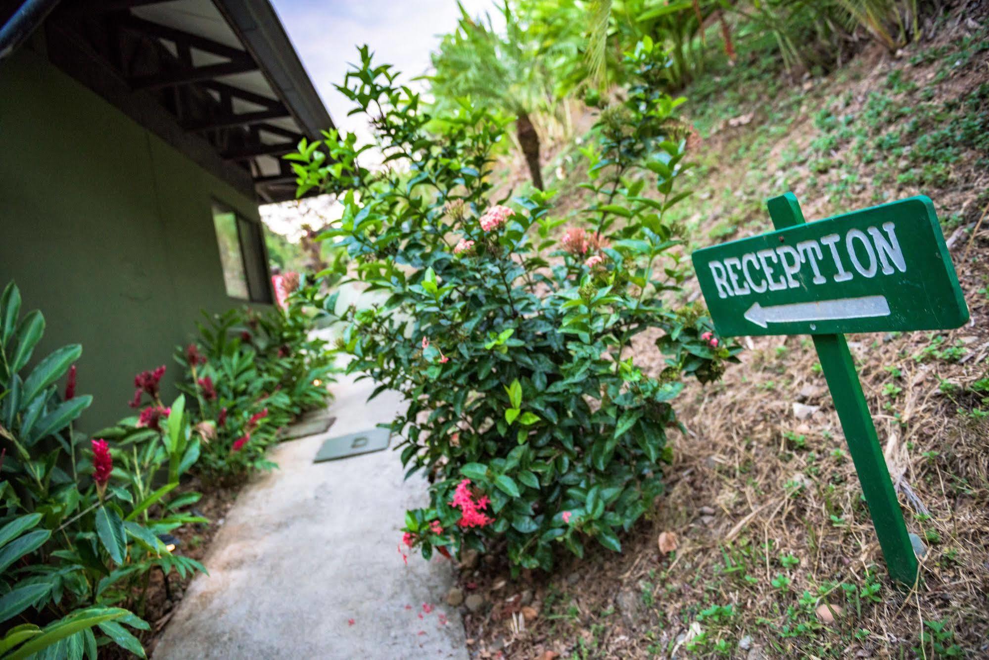 Tiki Villas Rainforest Lodge & Spa Uvita Luaran gambar